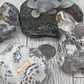 Snakeskin Agate Raw Fire Agate