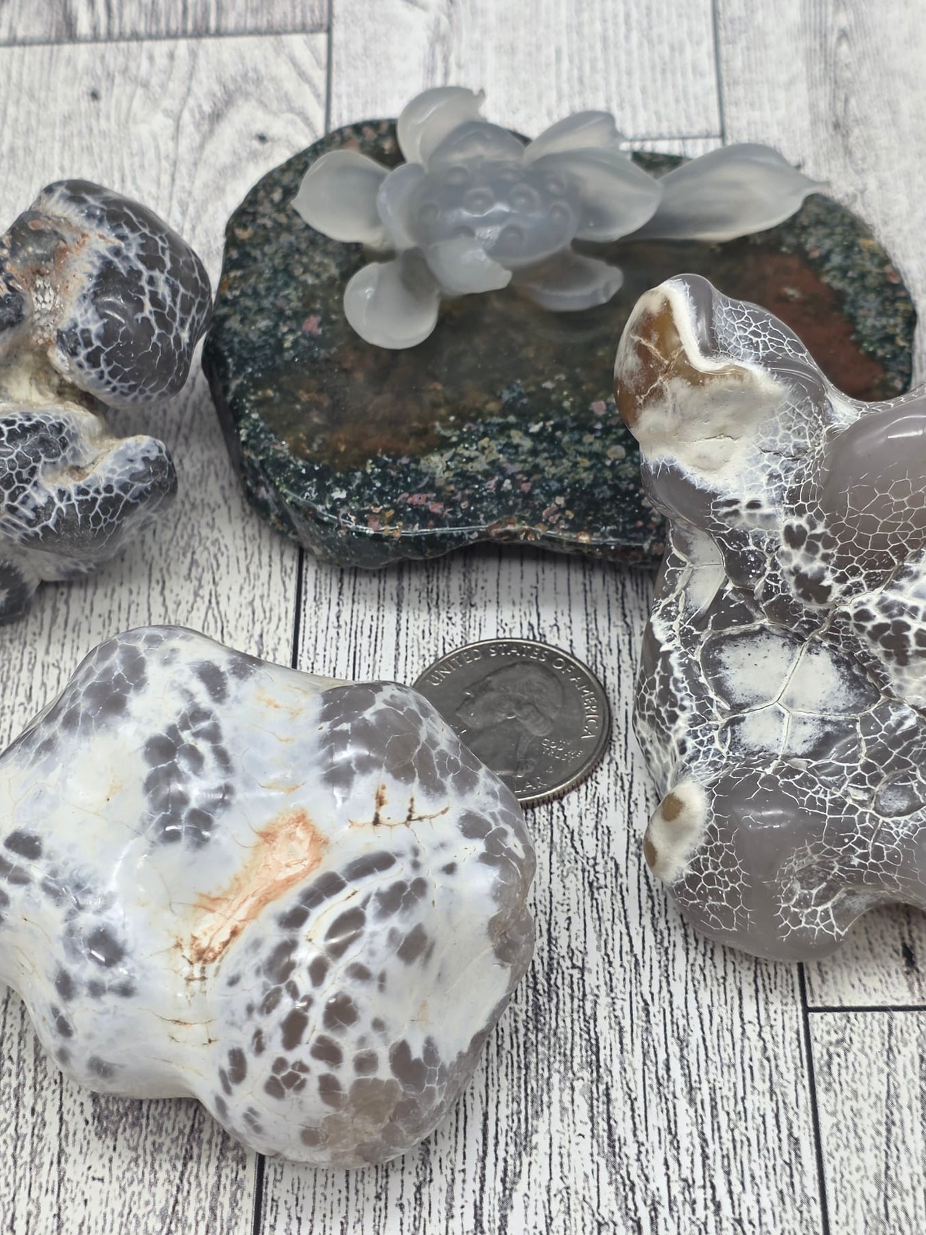 Snakeskin Agate Raw Fire Agate