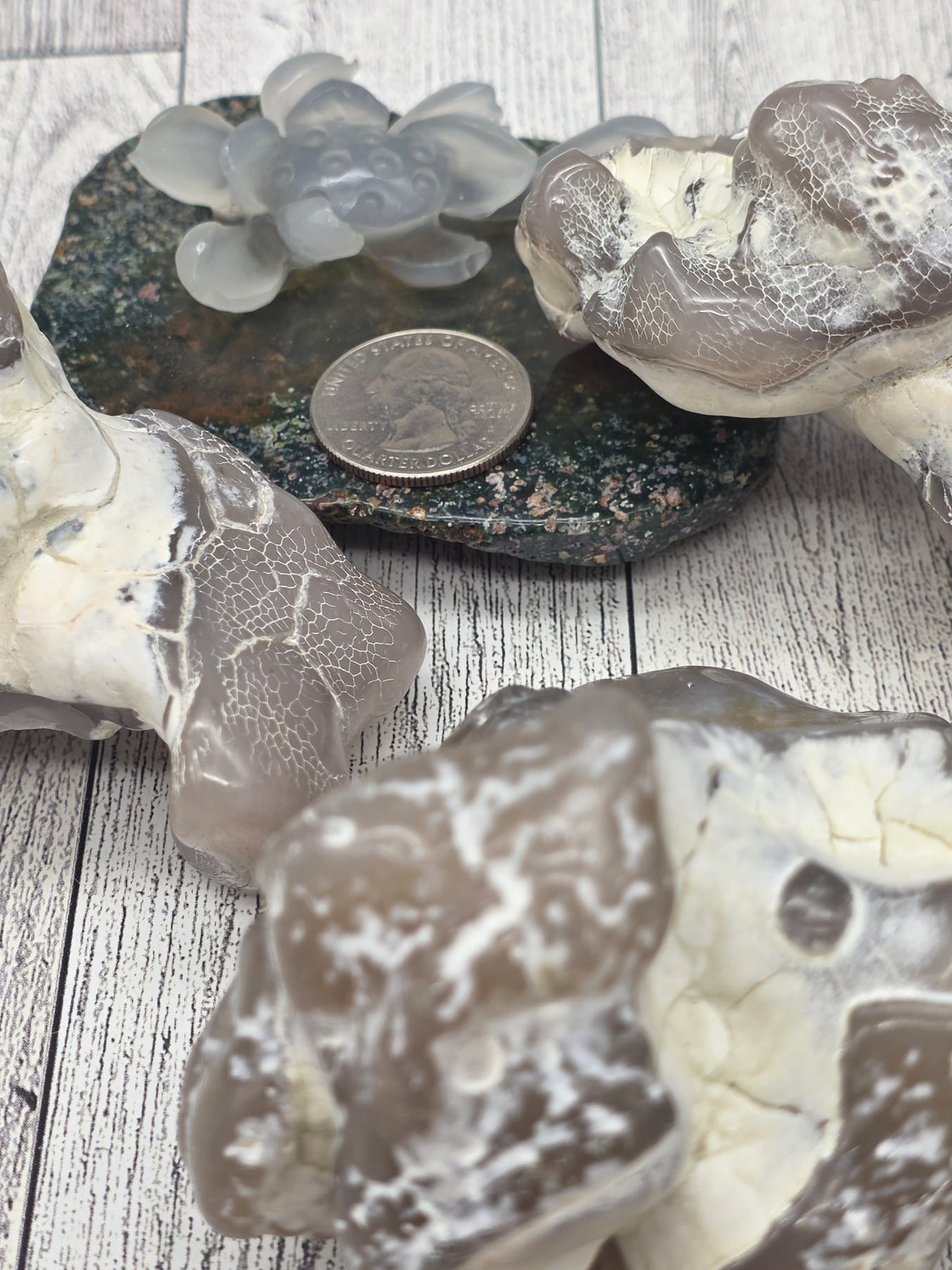Snakeskin Agate Raw Fire Agate