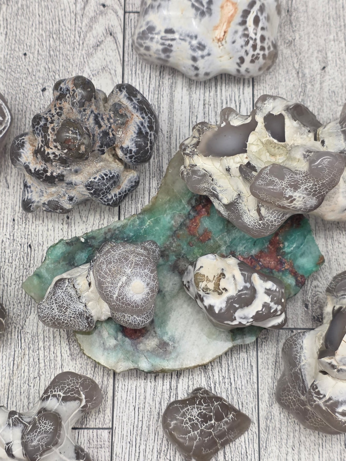 Snakeskin Agate Raw Fire Agate
