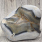 Orca Agate Freeform