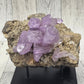 Veracruz Amethyst Cluster on Stand
