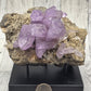 Veracruz Amethyst Cluster on Stand