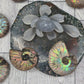 Ammonite Fossil Specimen