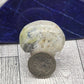 Hackmanite Palm Stone