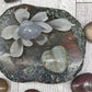 Ocean Jasper Heart