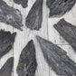 Black Kyanite Fan