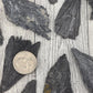 Black Kyanite Fan