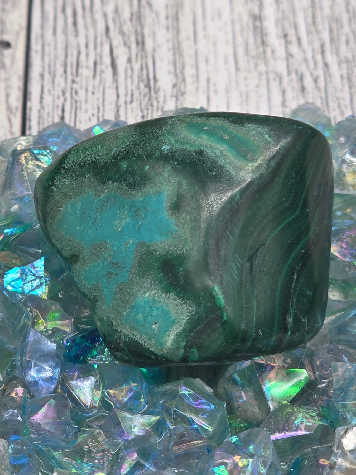 Malacholla Tumble
