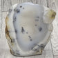 Dendritic Opal Freeform