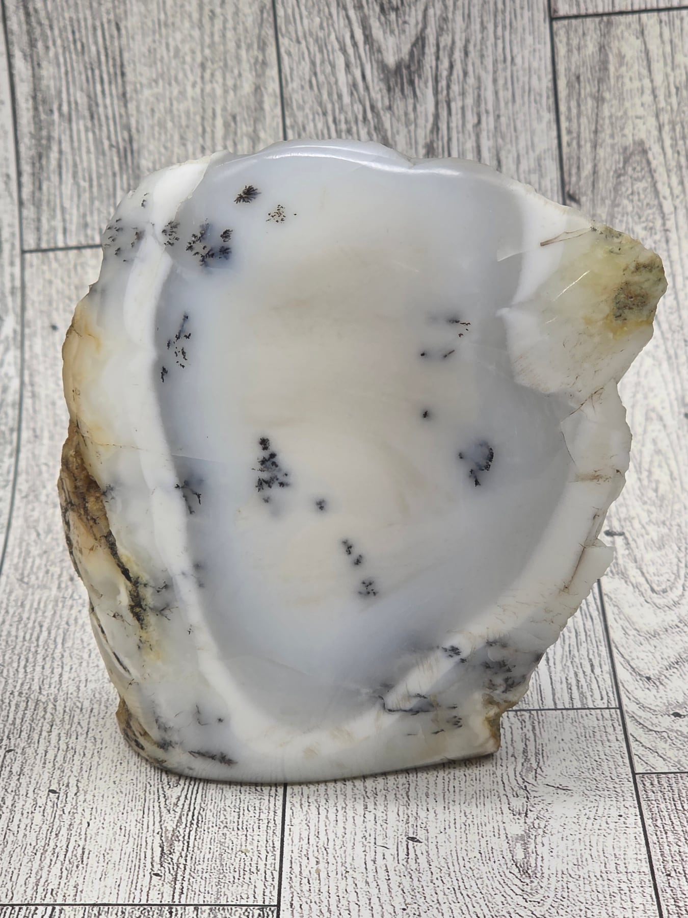 Dendritic Opal Freeform