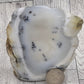 Dendritic Opal Freeform