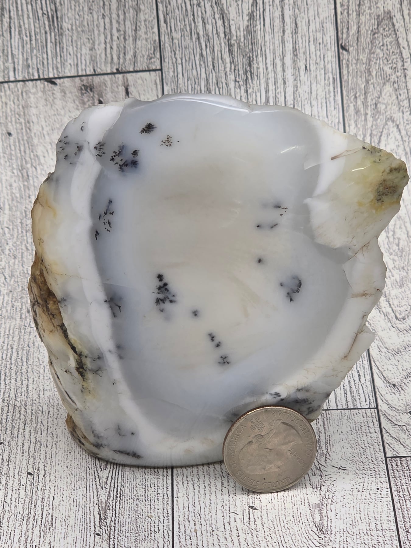Dendritic Opal Freeform