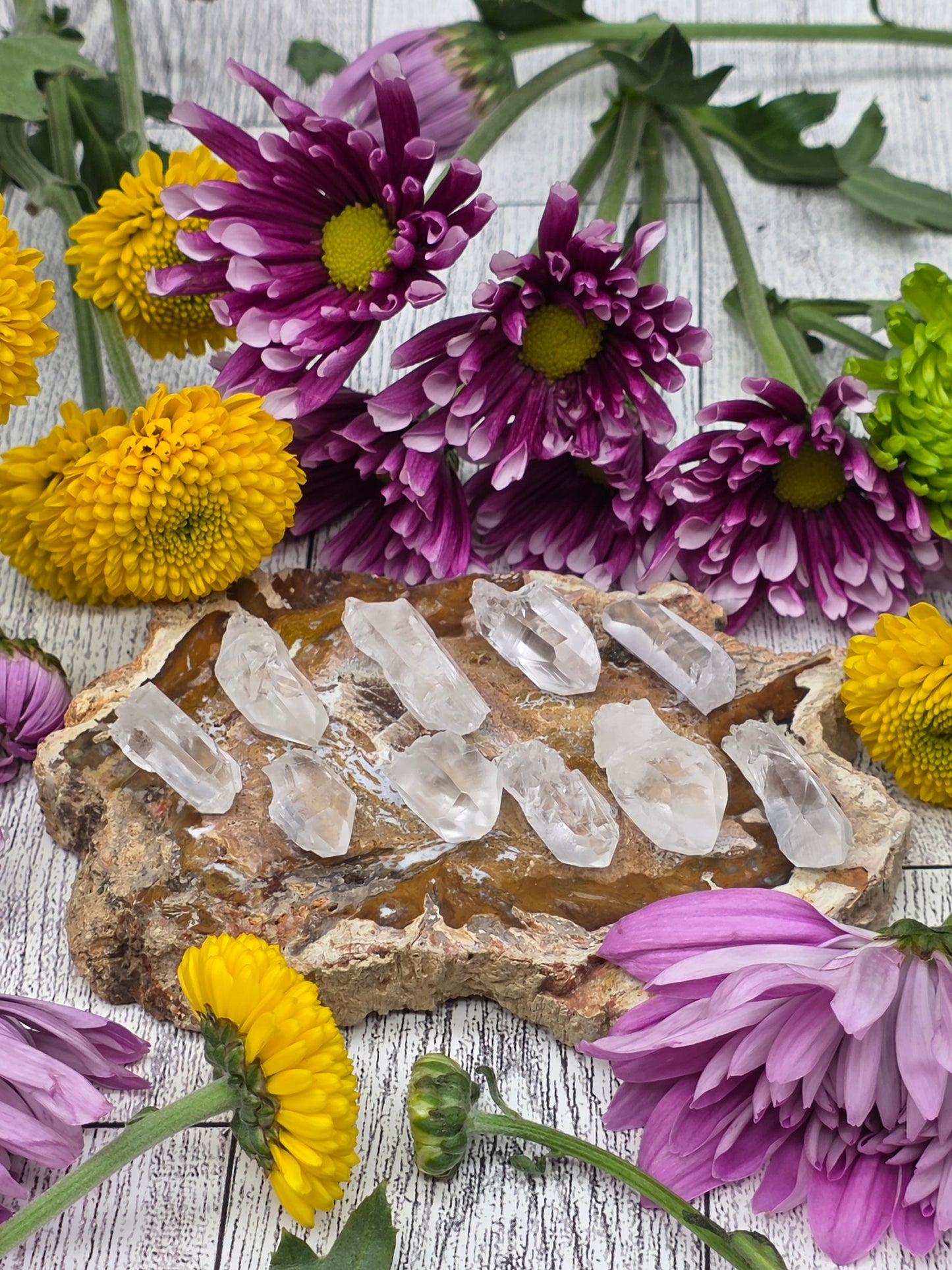 Set of 10 Lemurian Quartz Points