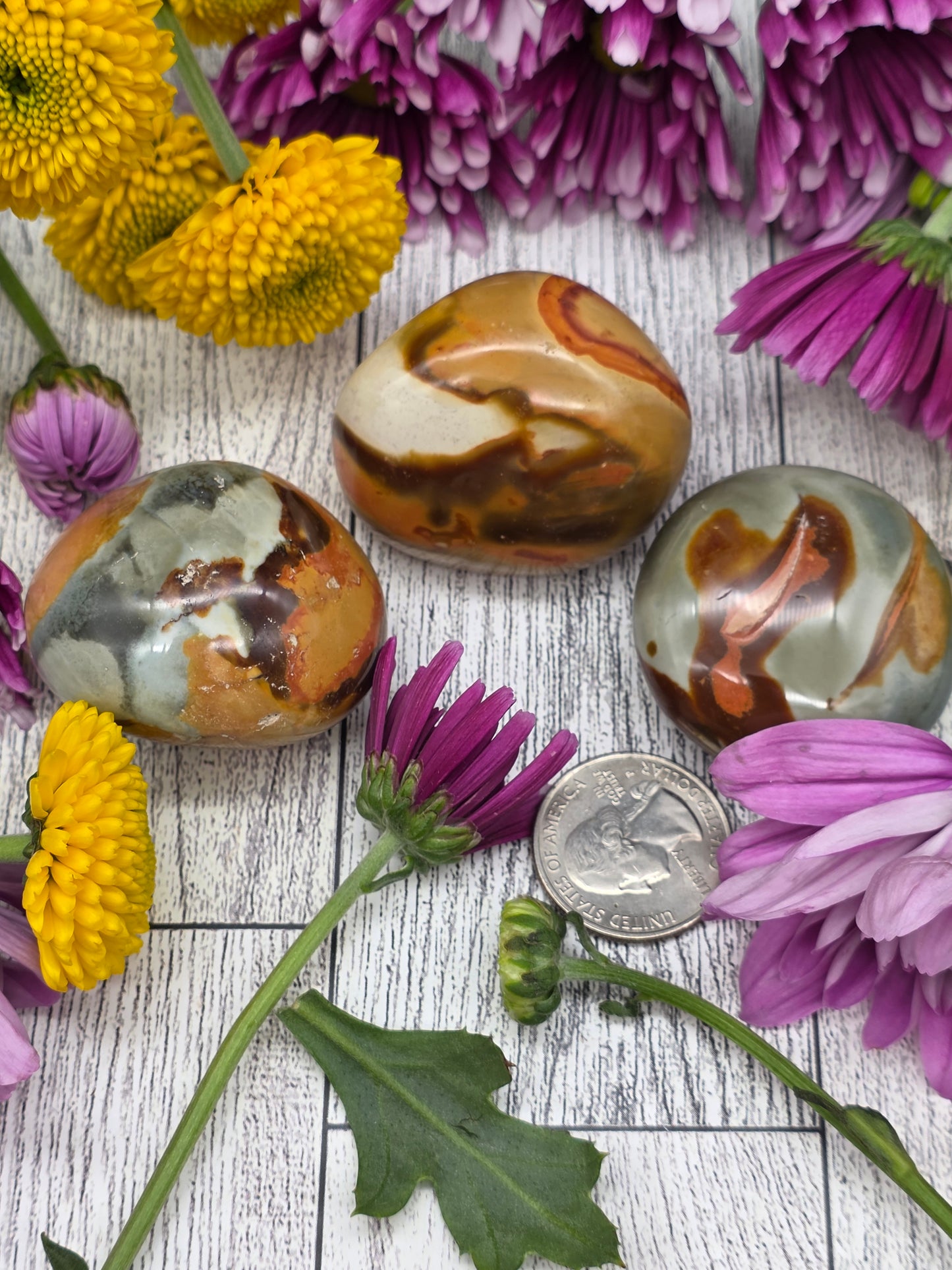 Polychrome Jasper Palm Stone