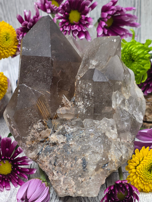 Rutilated Smoky Quartz Cluster
