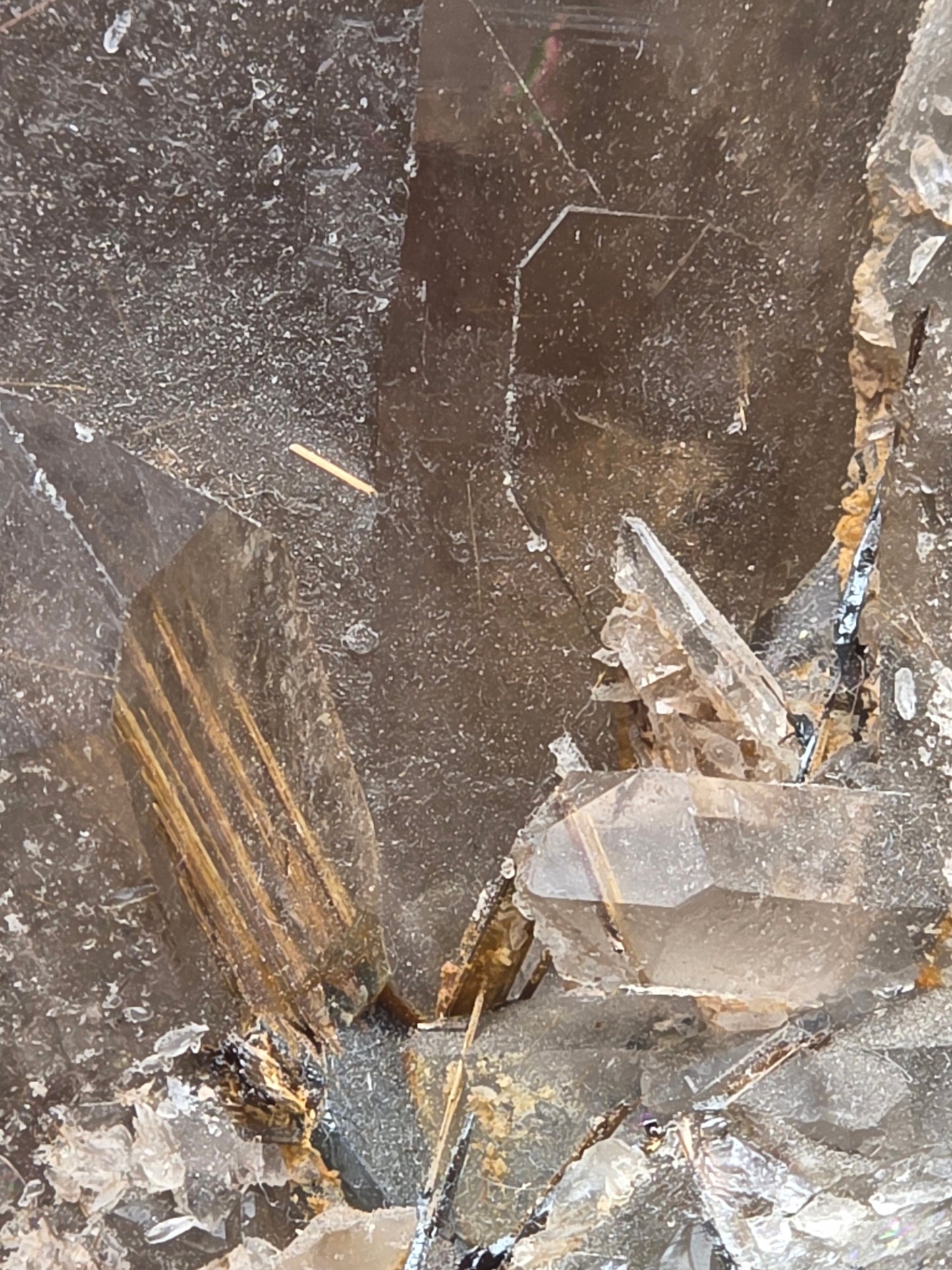 Rutilated Smoky Quartz Cluster
