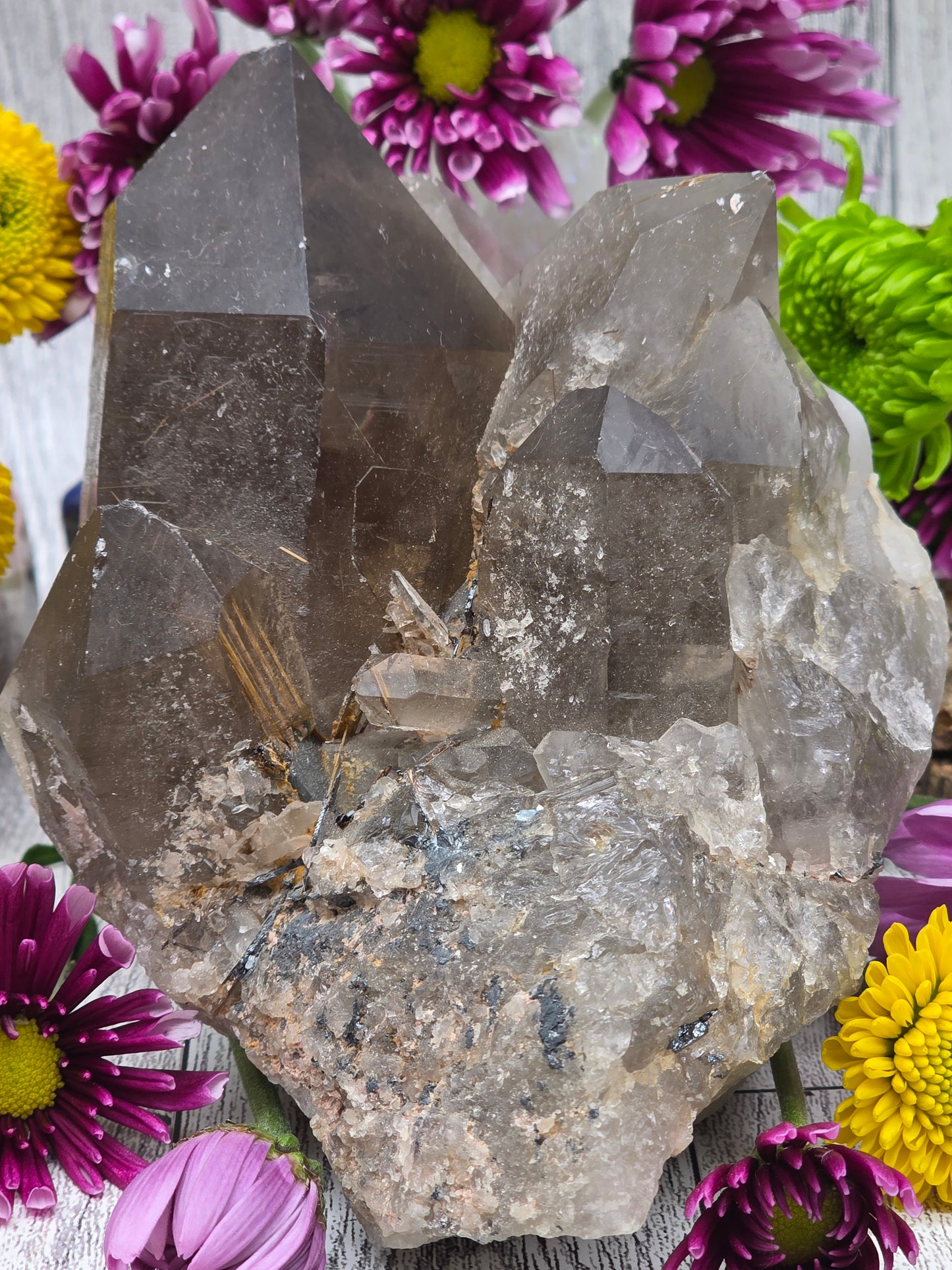 Rutilated Smoky Quartz Cluster