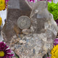 Rutilated Smoky Quartz Cluster
