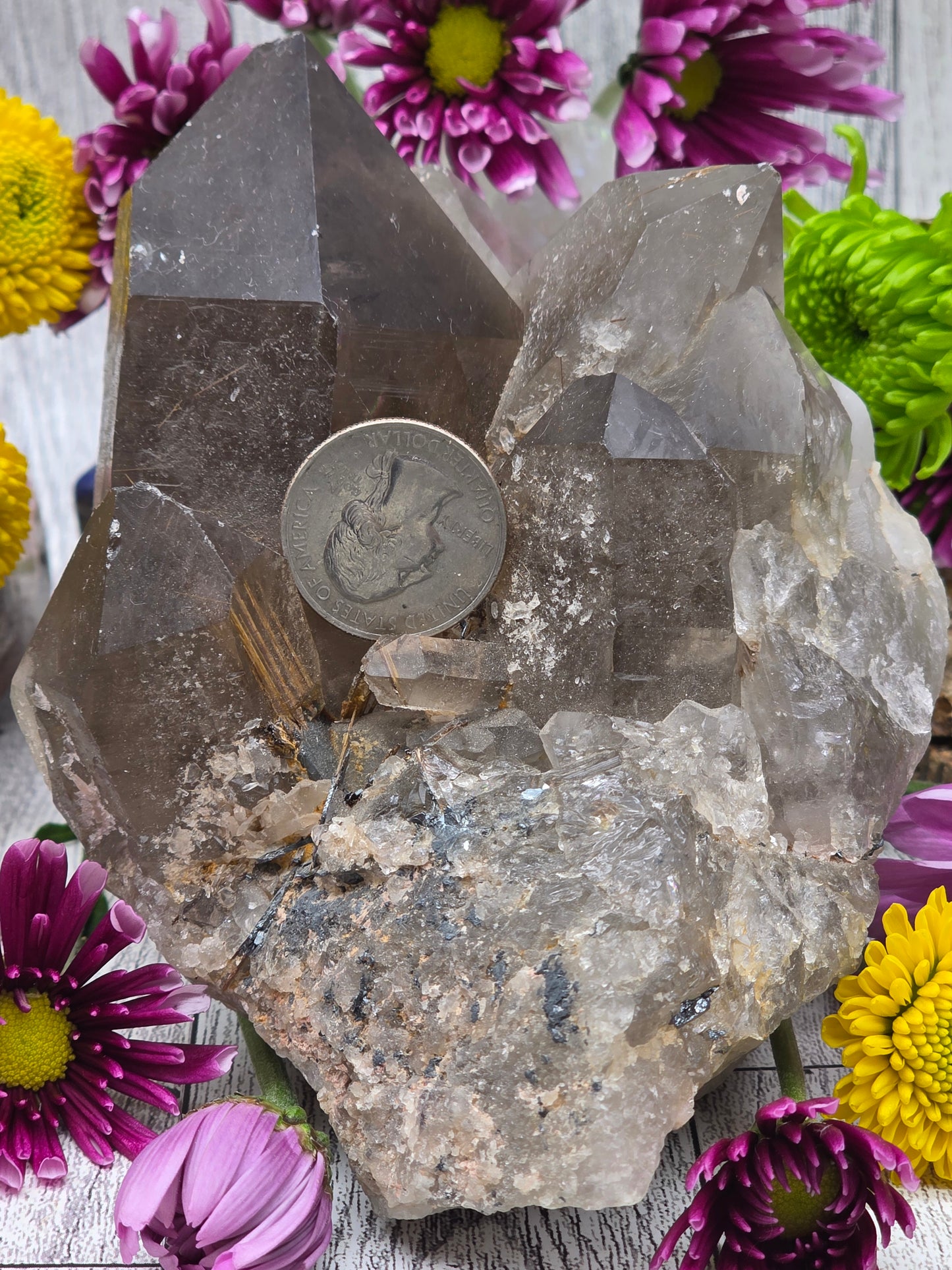 Rutilated Smoky Quartz Cluster