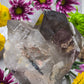 Rutilated Smoky Quartz Cluster