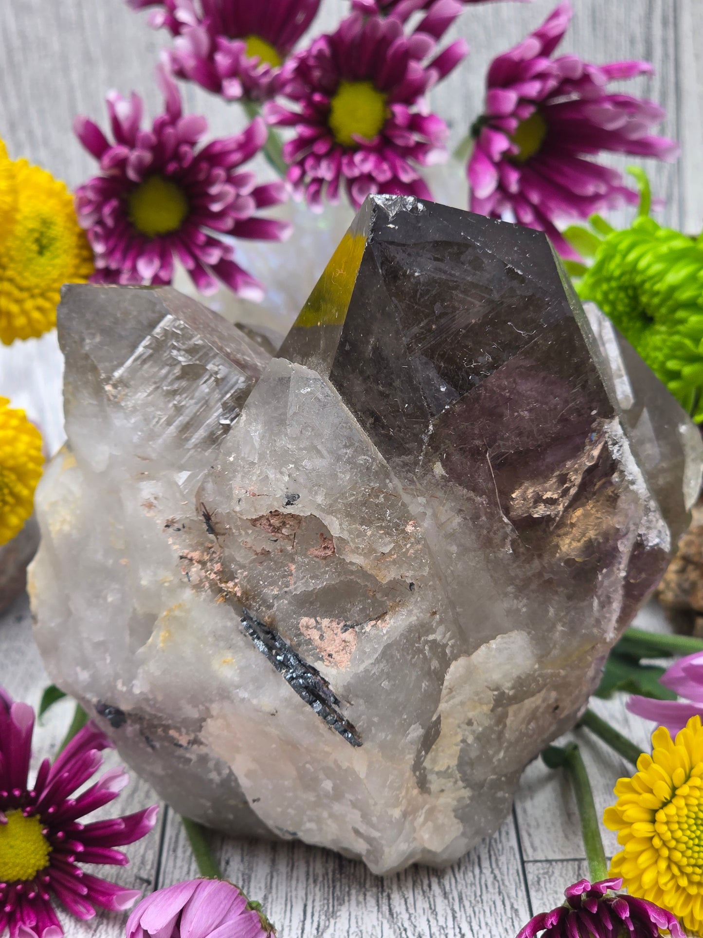 Rutilated Smoky Quartz Cluster