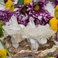 Faden Quartz Cluster