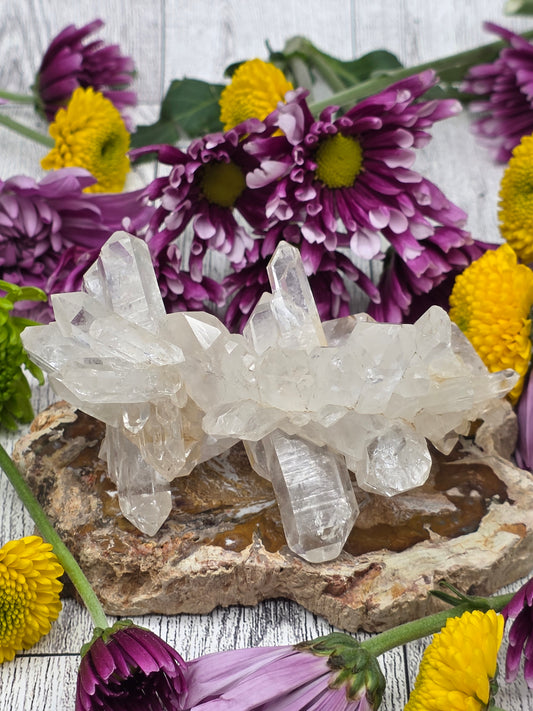 Faden Quartz Cluster