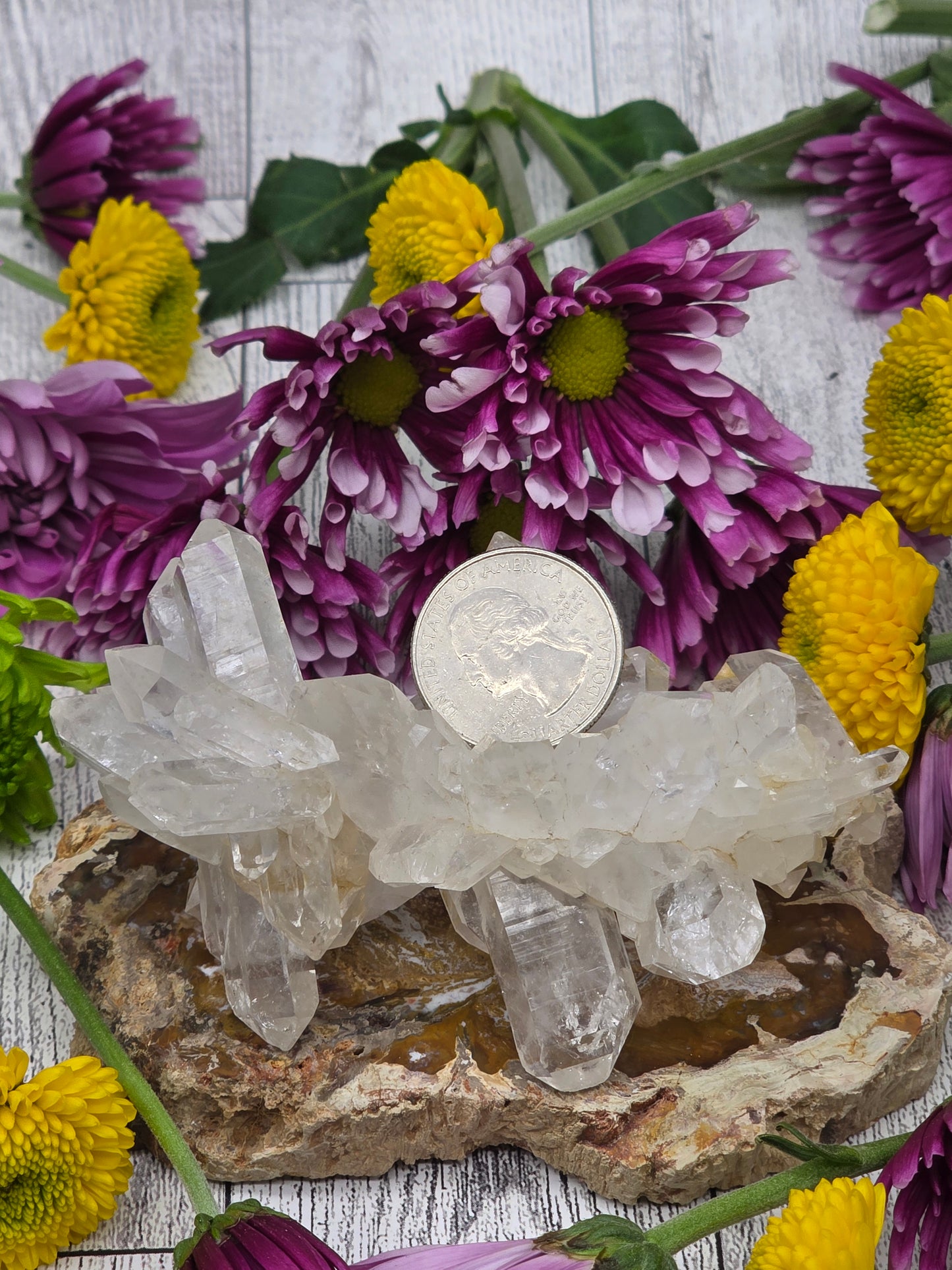 Faden Quartz Cluster