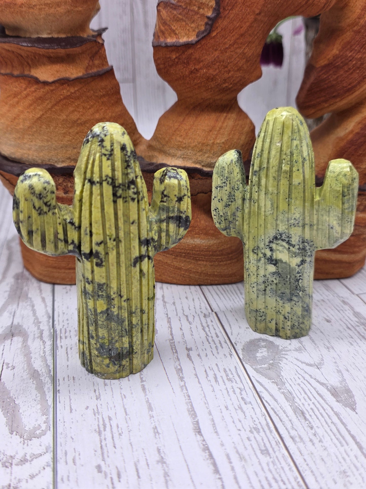 Serpentine Cactus Carving