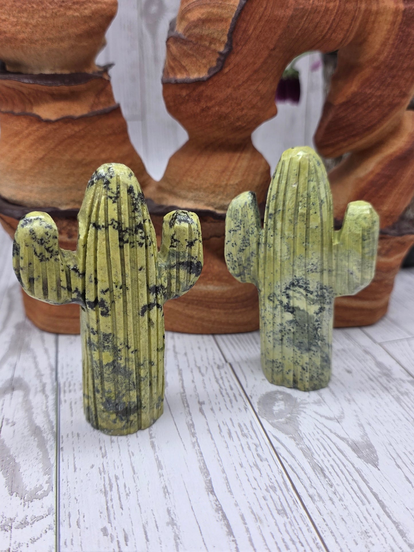 Serpentine Cactus Carving