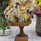 Agate Geode with Druzy on Handmade Wood Stand