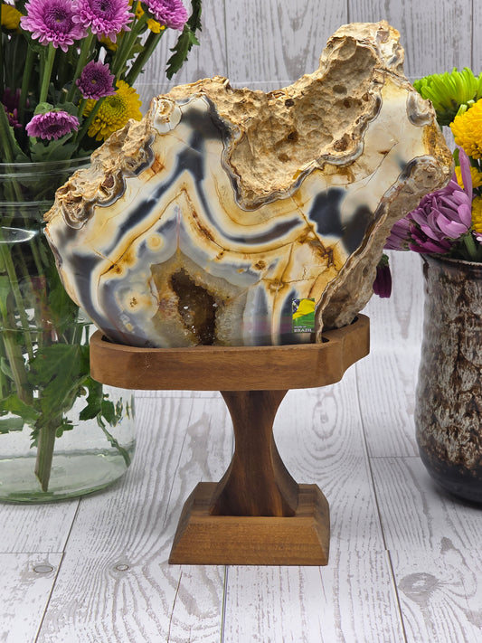 Agate Geode with Druzy on Handmade Wood Stand