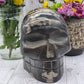 Extra Large Petrified Wood Skull