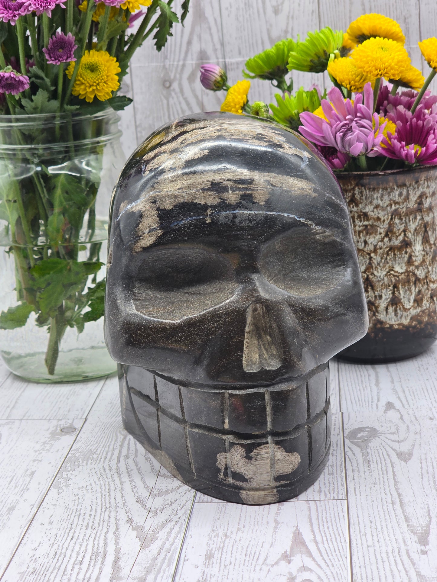 Extra Large Petrified Wood Skull