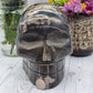 Extra Large Petrified Wood Skull