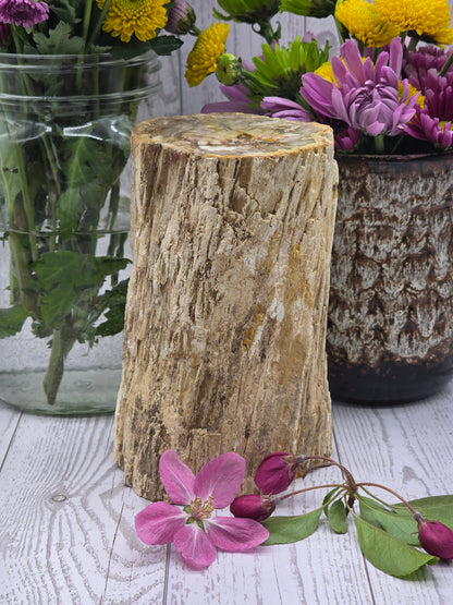 Petrified Wood Stump