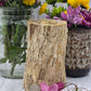 Petrified Wood Stump