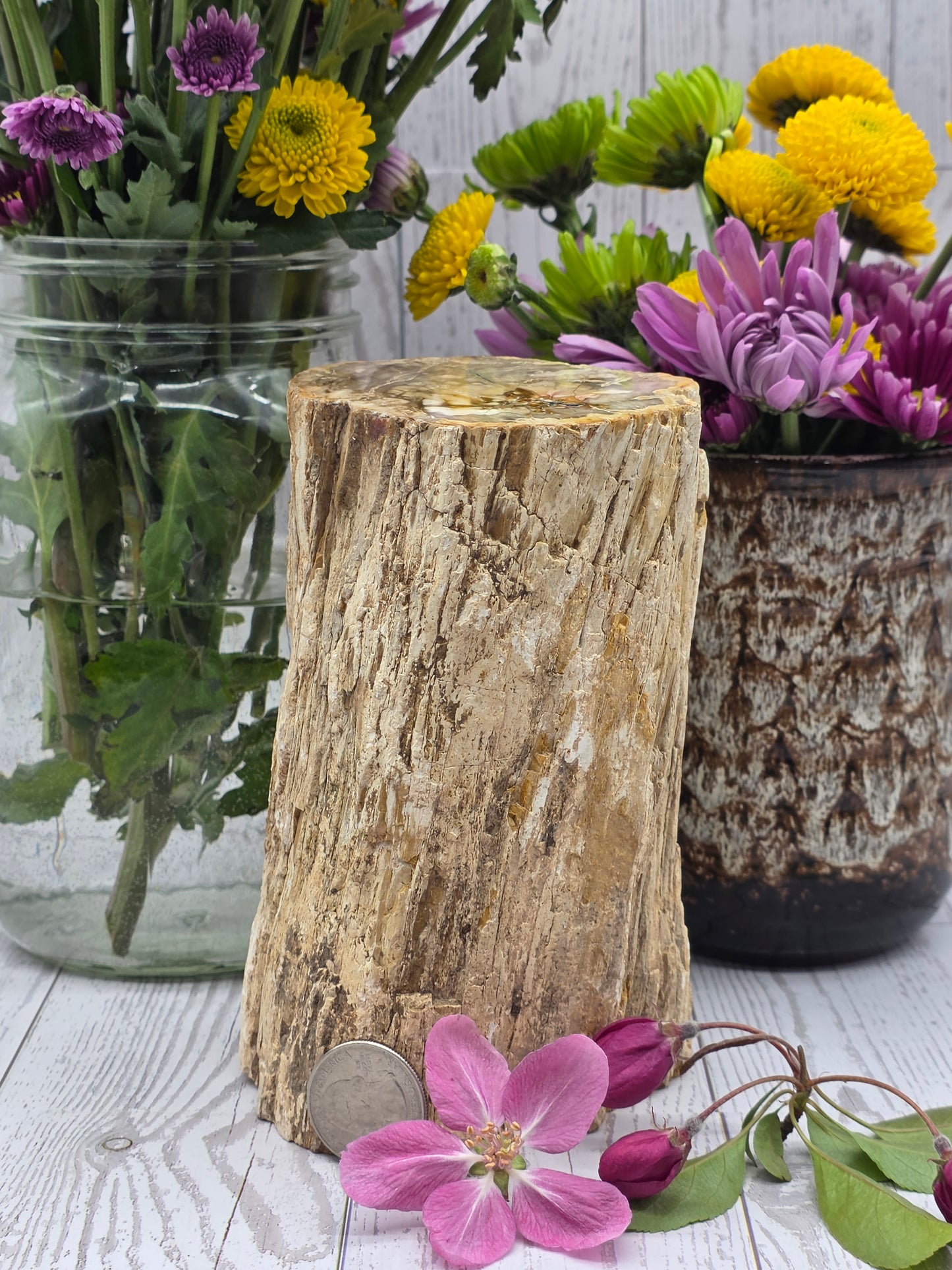 Petrified Wood Stump