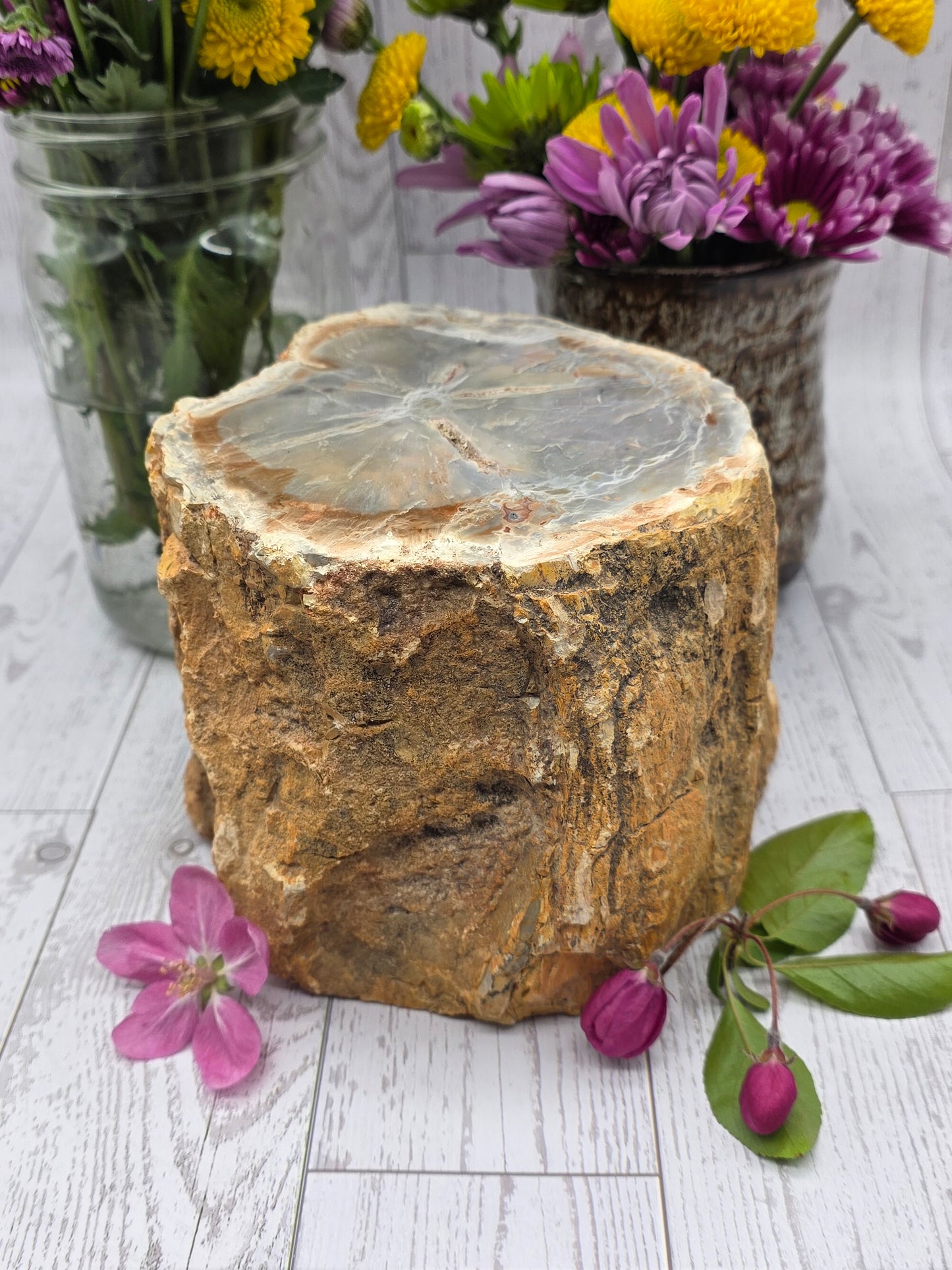 Petrified Wood Stump