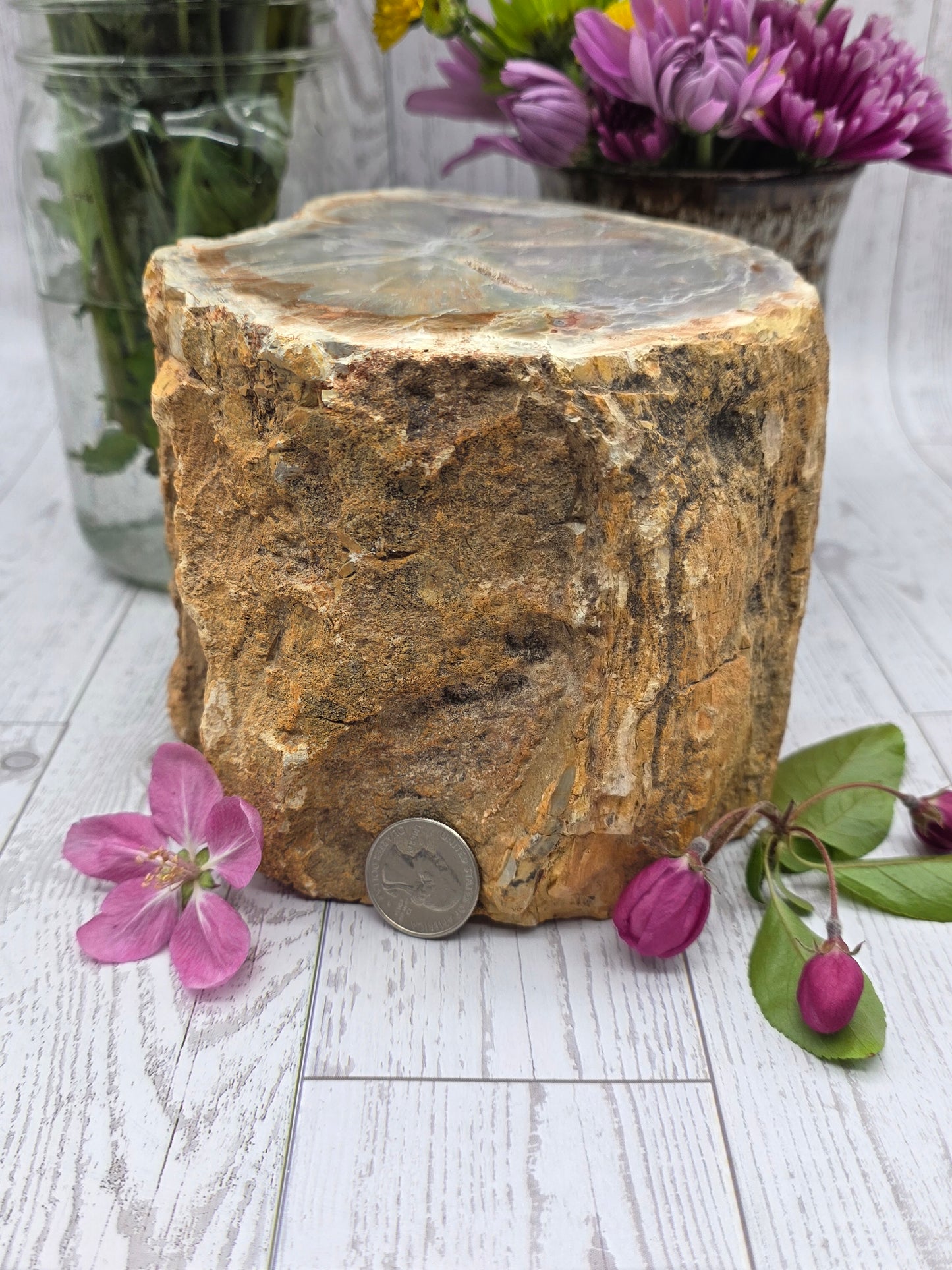 Petrified Wood Stump