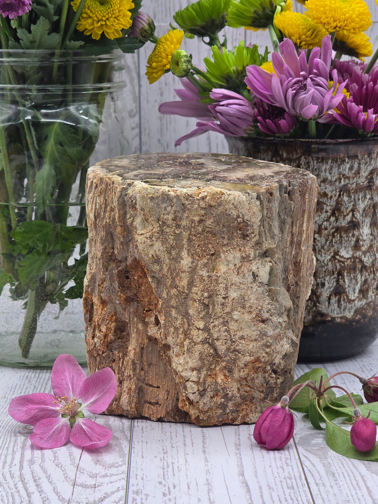 Petrified Wood Stump
