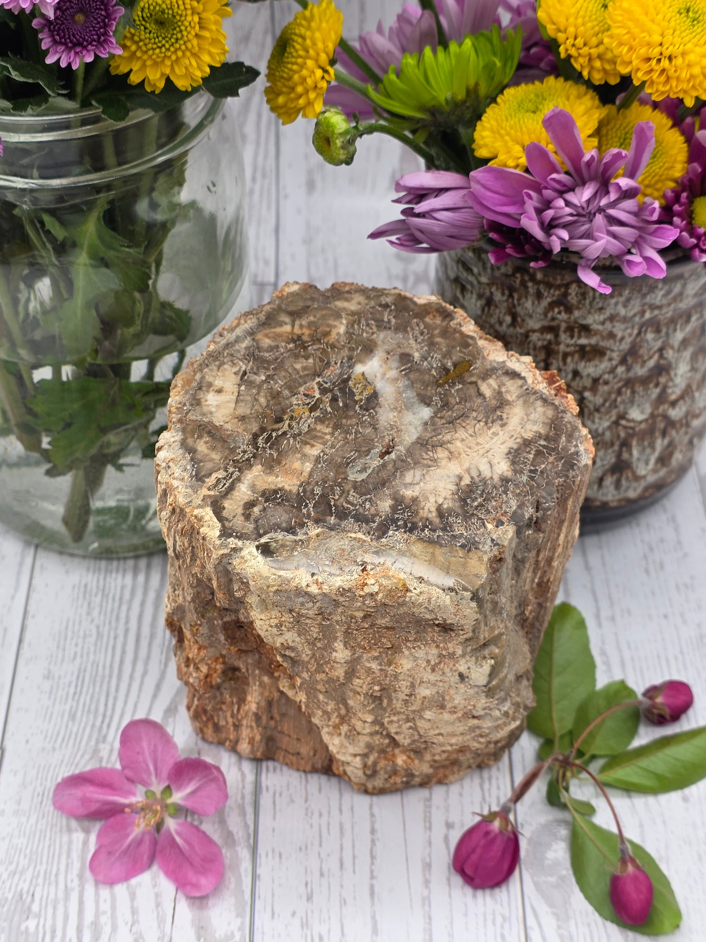 Petrified Wood Stump
