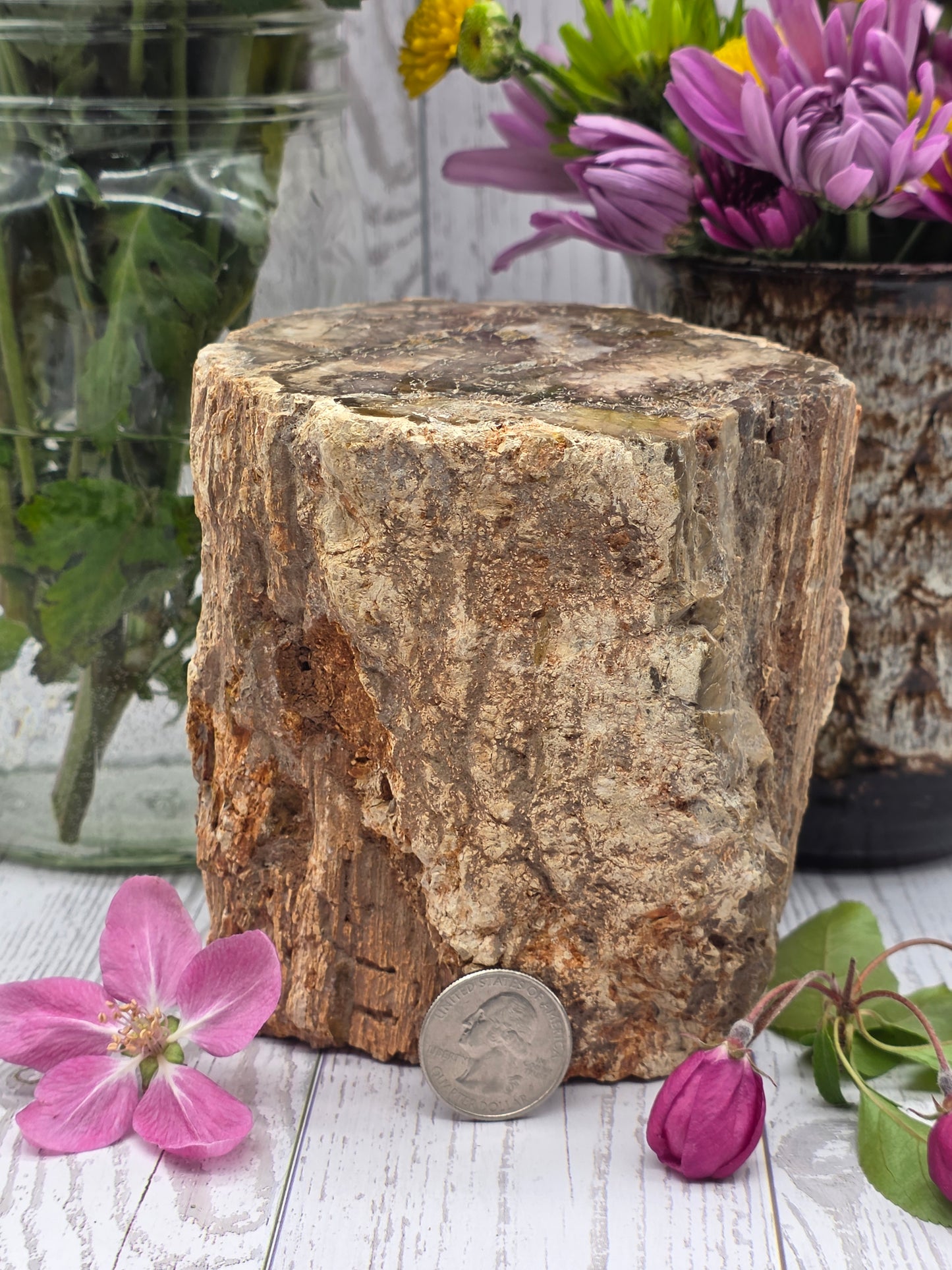 Petrified Wood Stump