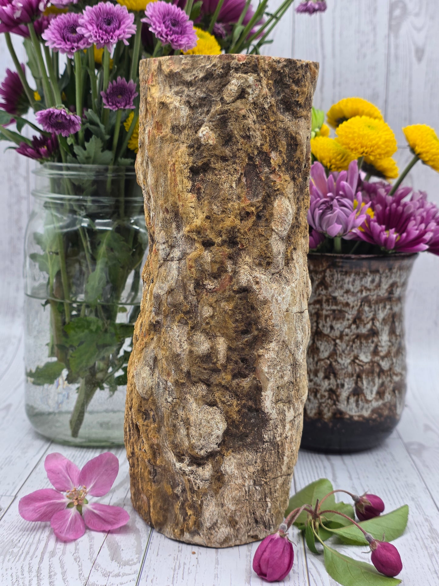 Petrified Wood Stump