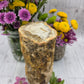 Petrified Wood Stump