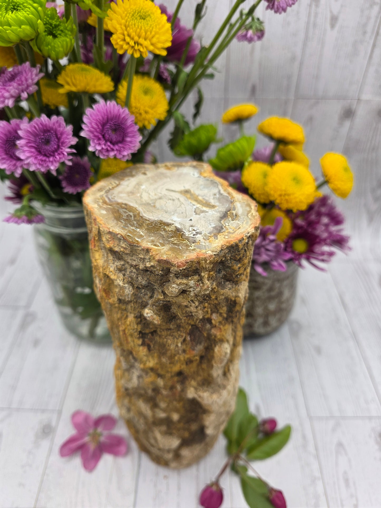 Petrified Wood Stump