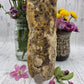 Petrified Wood Stump