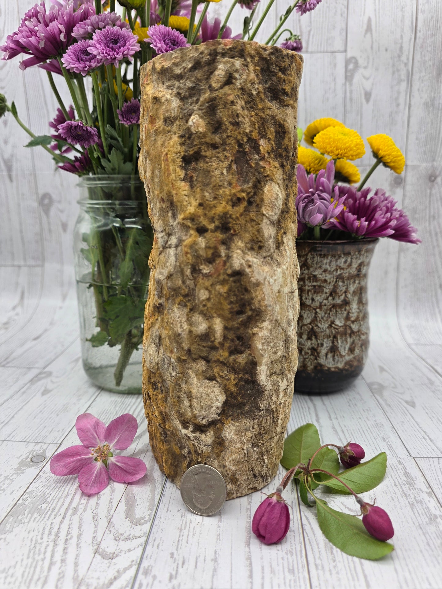 Petrified Wood Stump