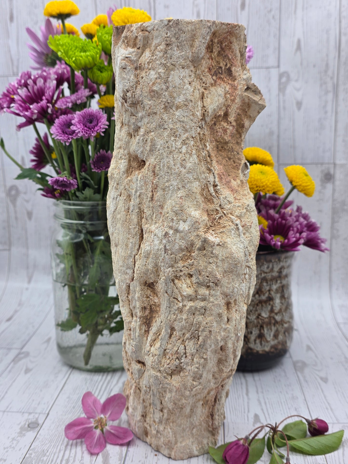 Petrified Wood Stump